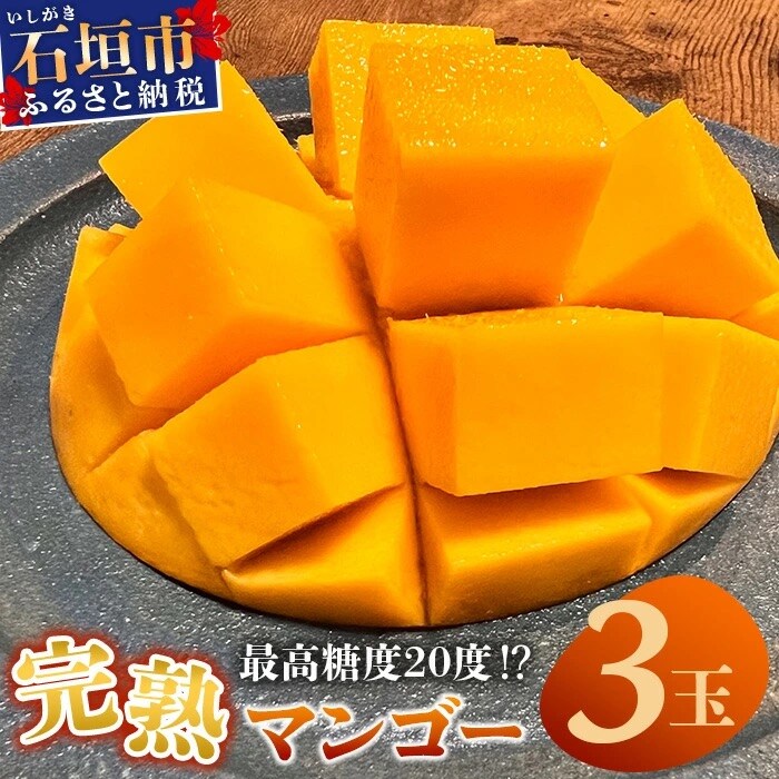 《2026年6月下旬～7月発送》【先行受付】完熟!3Lサイズ 石垣島マンゴー 3玉入り