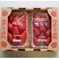 かたおかの苺「古都華(ことか)」・「珠姫(たまひめ)」約270g×2パック