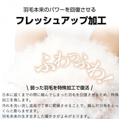 【洗濯可能】春夏用洗える羽毛肌布団シングルサイズダウン90%0.3kgダウンケットネイビー　国産