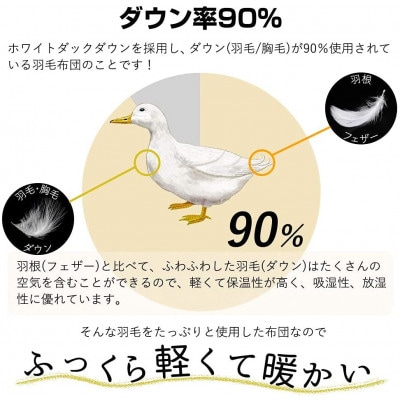 羽毛布団セミダブル二枚合わせ 合掛ふとん0.9kg/肌ふとん0.4kgオールシーズン対応 クリーム　