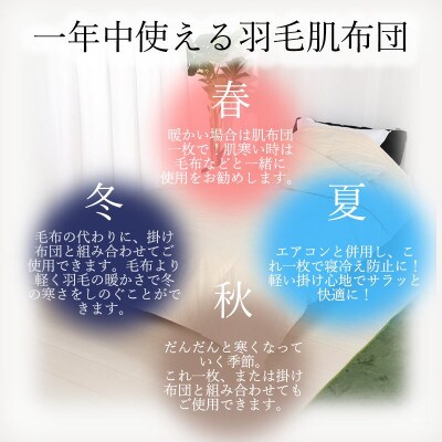 【春夏用】洗える羽毛肌掛け布団シングルサイズダウン90%0.3kg 北欧調ガーブカーサブルー　