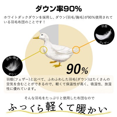 【春夏用】洗える羽毛肌掛け布団シングルサイズダウン90%0.3kg 北欧調ガーブカーサブルー　