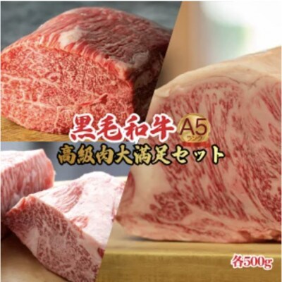 黒毛和牛 A5 ブロック肉 食べ比べセット 1.5kg モモ・ヒレ・サーロイン