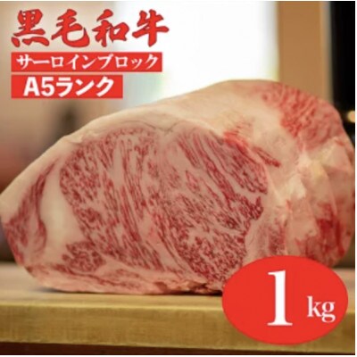 黒毛和牛 A5 ブロック肉 食べ比べセット 3kg モモ・ヒレ・サーロイン