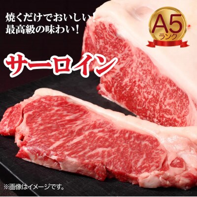 黒毛和牛 A5 ヒレ&サーロイン各2枚ステーキセット 冷蔵