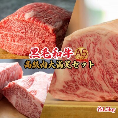 黒毛和牛 A5 ブロック肉 食べ比べセット 4.5kg モモ・ヒレ・サーロイン 各1.5kg 冷蔵