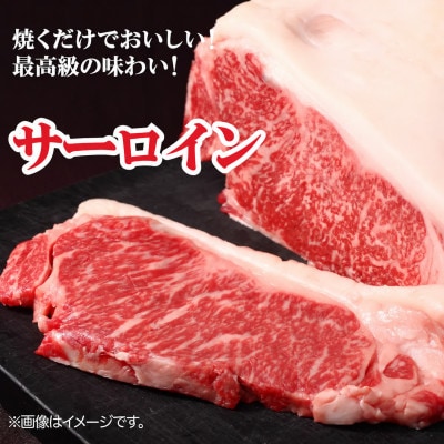 黒毛和牛A4ランク以上ヒレサーロインセットヒレ150g×2枚サーロイン200g×2枚 計700g