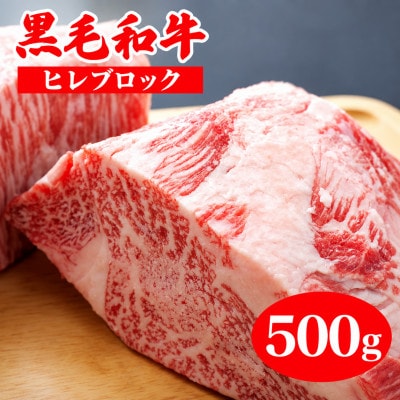 黒毛和牛A4ランク以上　ヒレ ブロック 500g