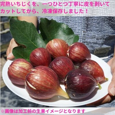 冷凍いちじく(約500g)　116021