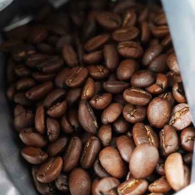[豆のまま]スペシャルティコーヒー 旬のシングルオリジン 100g×3種【kt054-006-1】