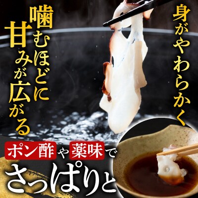 【北海道根室産】たこしゃぶ用水たこ150g×3P(加熱調理用) G-11029