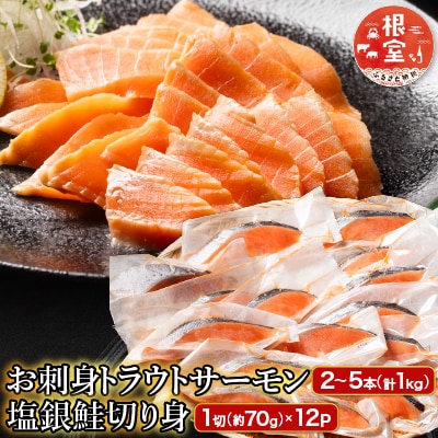 トラウトサーモン2～5本&塩銀鮭切り身1切×12P B-09094