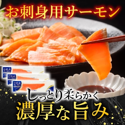 トラウトサーモン2～5本&塩銀鮭切り身1切×12P B-09094