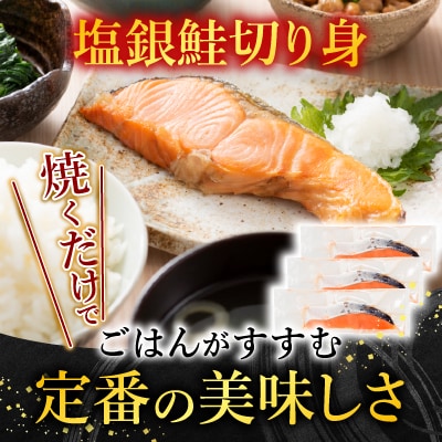 トラウトサーモン2～5本&塩銀鮭切り身1切×12P B-09094
