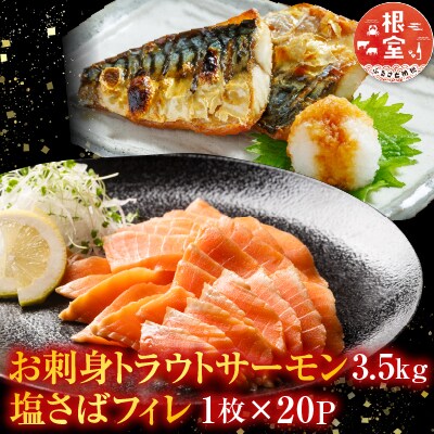 お刺身トラウトサーモン3.5kg、塩さばフィレ20P D-09020