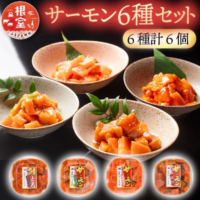おつまみ刺身サーモン6種セット(6種計6個) A-09152