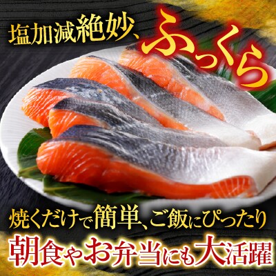 トラウトサーモン6～12本&塩銀鮭切り身1切×30P D-09040
