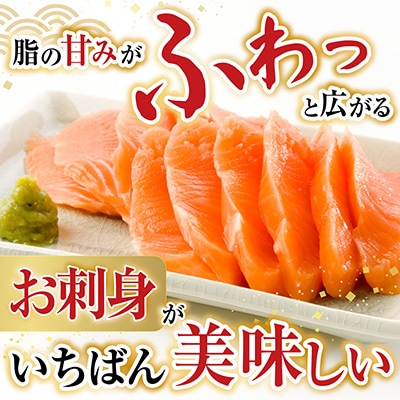 お刺身トラウトサーモン2P(計350～450g) G-28045