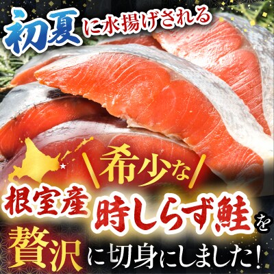 【北海道根室産】時しらず鮭切身1.5kg×1P・1切×2P F-42020