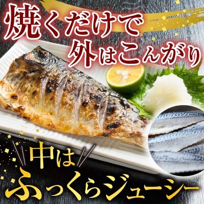 塩さばフィーレ11枚入×1P(計約1.5kg) G-11021