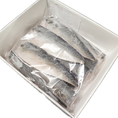 塩さばフィーレ11枚入×1P(計約1.5kg) G-11021