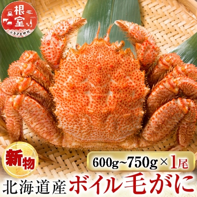 根室海鮮市場<直送>ボイル毛がに600～750g×1尾 B-28124
