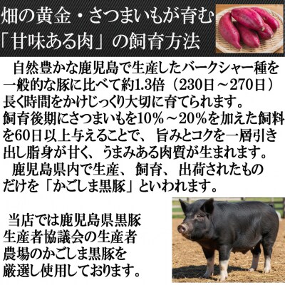 スエヒロ家 鹿児島黒豚やわらか一口豚ヒレとんかつ 30g×6個