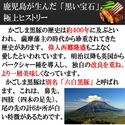 スエヒロ家 鹿児島黒豚やわらか一口豚ヒレとんかつ 30g×10個