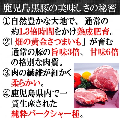 スエヒロ家 鹿児島黒豚厚切りロースとんかつ 150g×2枚