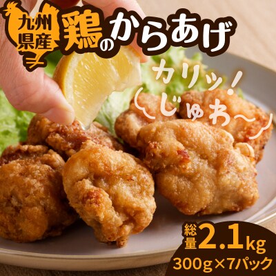 九州県産鶏の唐揚げ　K277-002