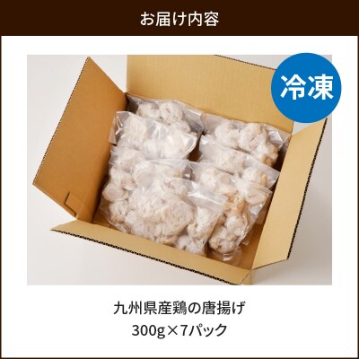 九州県産鶏の唐揚げ　K277-002