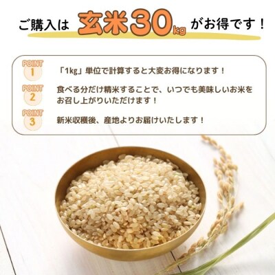 令和7年産 ゆめぴりか玄米 10kg【農業生産法人ノウリエ】米 お米 北海道産 北海道米 特Aランク