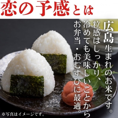令和7年産　東広島市産米　恋の予感　無洗米　10kg