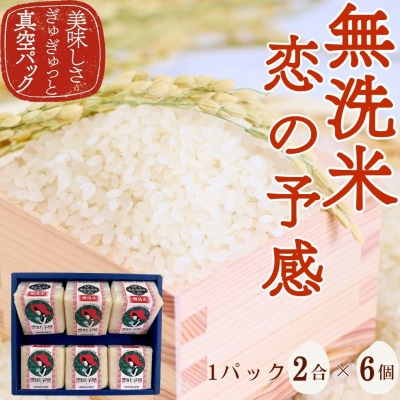 キューブ型 無洗米 恋の予感2合(300g)×6個セット ギフト 個包装 真空パック