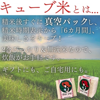 キューブ型 無洗米 恋の予感2合(300g)×6個セット ギフト 個包装 真空パック