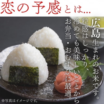 キューブ型 無洗米 恋の予感2合(300g)×6個セット ギフト 個包装 真空パック