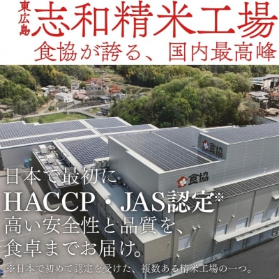 キューブ型 無洗米 恋の予感2合(300g)×6個セット ギフト 個包装 真空パック