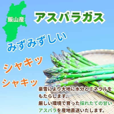【期間限定】飯山産新鮮アスパラ 2Lサイズ5束(1束3～4本)1kg