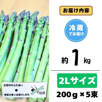 【期間限定】飯山産新鮮アスパラ 2Lサイズ5束(1束3～4本)1kg