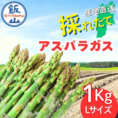 【期間限定】飯山産新鮮アスパラ Lサイズ10束(1束3～6本)1kg