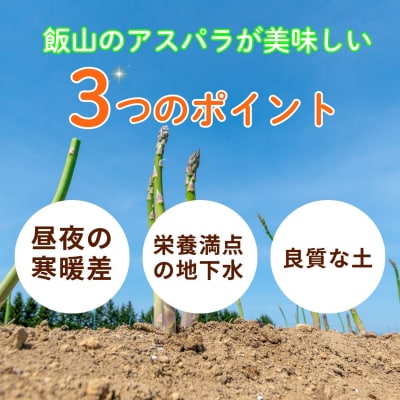 【期間限定】飯山産新鮮アスパラ Lサイズ10束(1束3～6本)1kg