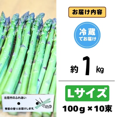 【期間限定】飯山産新鮮アスパラ Lサイズ10束(1束3～6本)1kg