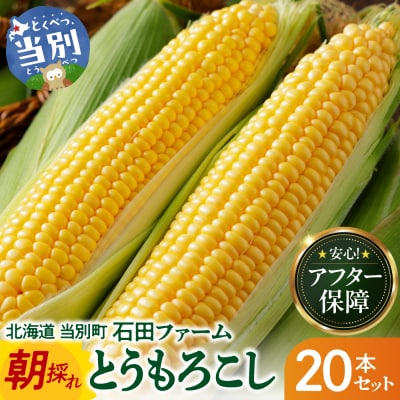 【令和8年発送先行受付】石田ファーム　とうもろこし詰め合わせ20本セット_tb19-004
