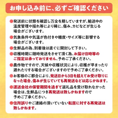 【令和8年発送先行受付】石田ファーム　とうもろこし詰め合わせ20本セット_tb19-004