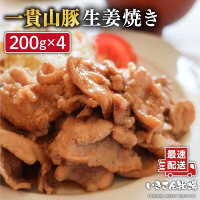 一貴山豚 生姜焼き 4個 いきさん牧場 豚肉 小分け [AGB004]