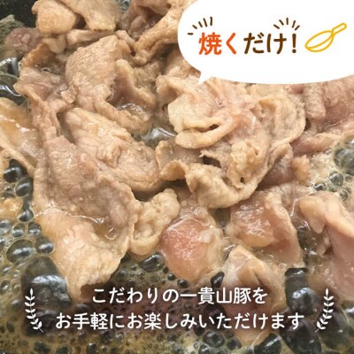 一貴山豚 生姜焼き 4個 いきさん牧場 豚肉 小分け [AGB004]