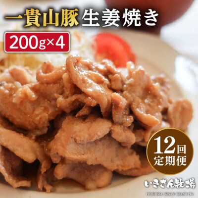 【全12回定期便】焼くだけ定番おかず!一貴山豚 生姜焼き 4パック/いきさん牧場 [AGB018]