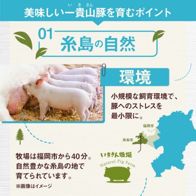 一貴山豚 バラスライス 計1kg(250g×4p) 糸島市/いきさん牧場 豚肉 [AGB041]