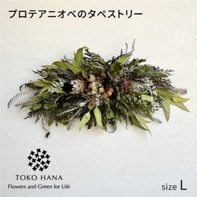 プロテアニオベのタペストリー(Lサイズ)　糸島市/tokohana ドライフラワー[AOC029]
