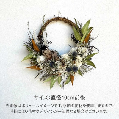 プロテアニオベのリース(Lサイズ)糸島市/tokohana ドライフラワー アレンジ[AOC033]